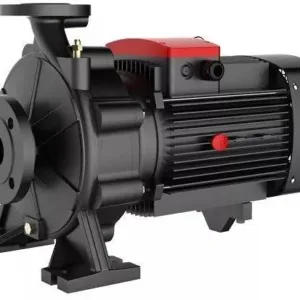 Насос центробежный моноблочный из чугуна FST 65-200/220 FANCY, 22,0kw, 380V, 50Hz